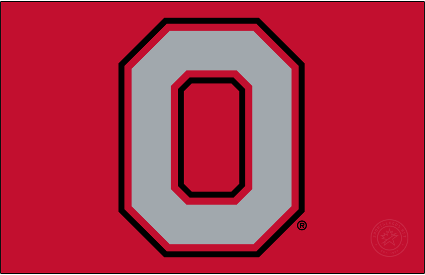 Ohio State Buckeyes 1991-Pres Secondary Logo diy iron on heat transfer